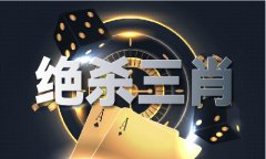全天运载化学品（含剧毒化学品）车辆正在本市